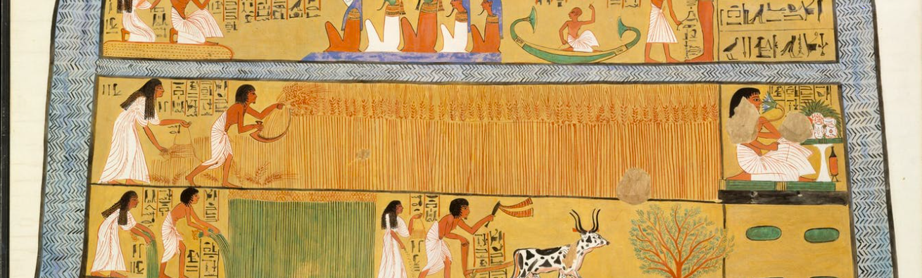 What 3,000-year-old Egyptian wheat tells us about the genetics of our daily bread